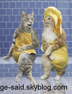 lala tamo ou lala fatima  f l hamam